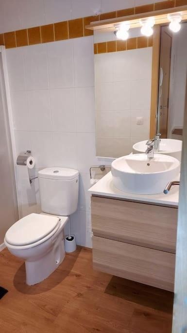 Precioso Apartamento Duplex En El Centro De Olot Appartement Buitenkant foto